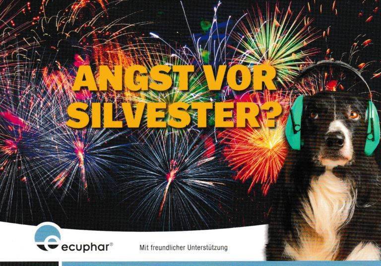 Keine Angst vor Silvester Tierarztpraxis Dr. Reinhold Erbing